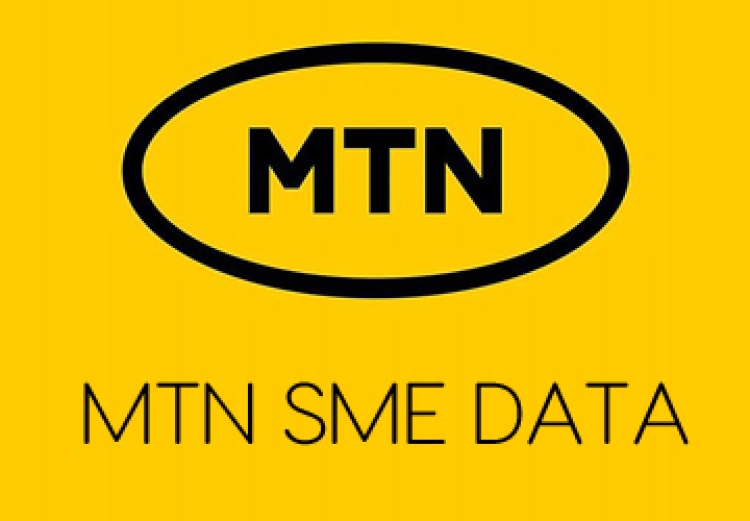 Updated USSD Codes for Vending MTN SME Data